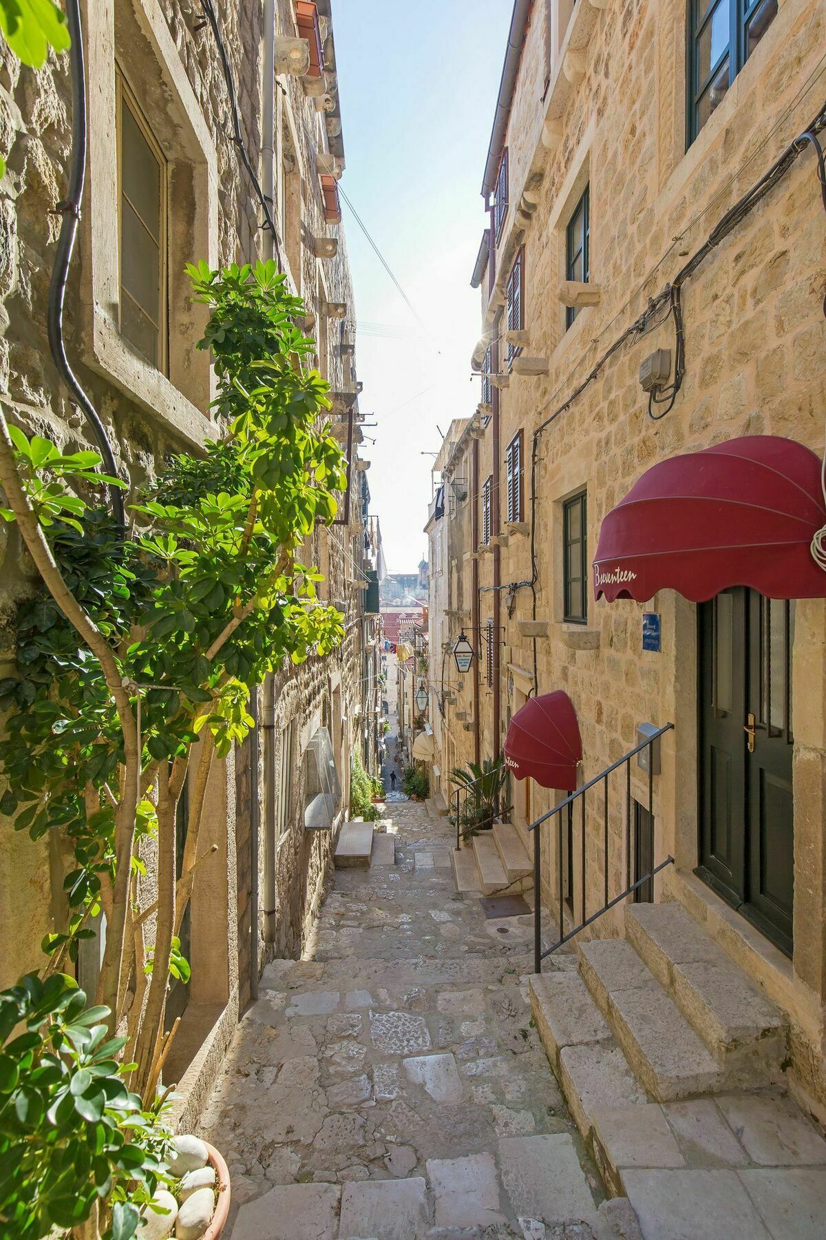 דוברובניק Apartments And Room Le Petit Nono מראה חיצוני תמונה